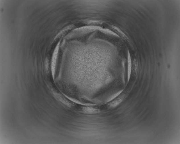 X0000081350380200702020120