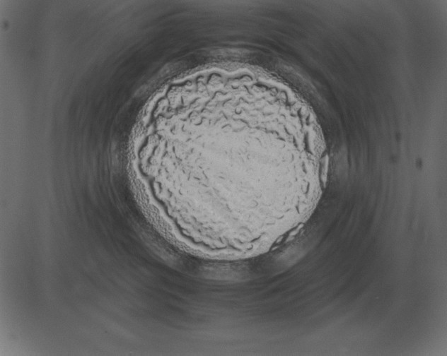 X0000081350381200702020120