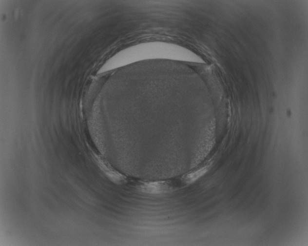 X0000081350382200702020120