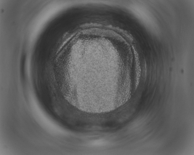 X0000081350383200702020121