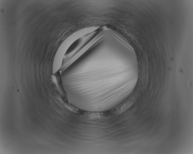 X0000081350384200702020121