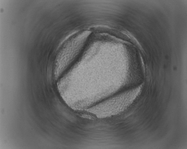 X0000081350386200702020120