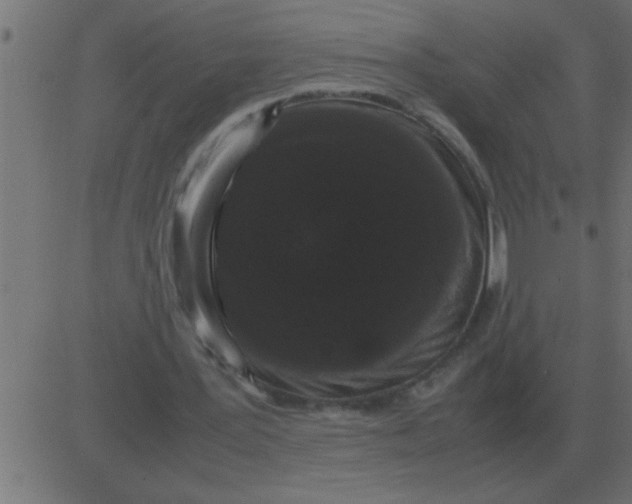 X0000081350387200702020120