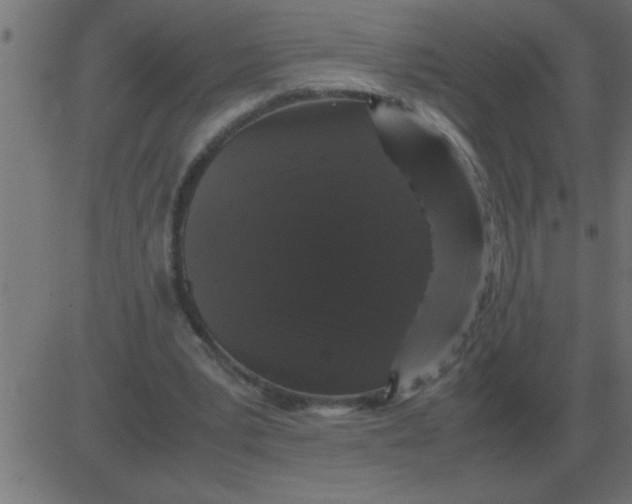 X0000081350391200702020120