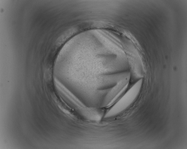 X0000081350393200702020120