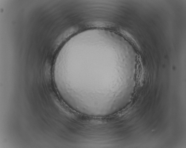 X0000081350394200702020120