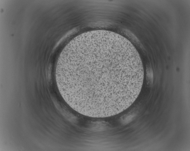 X0000081350396200702020120