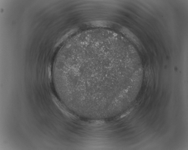 X0000081350398200702020120