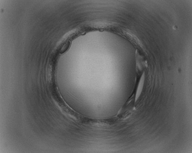 X0000081350400200702020119