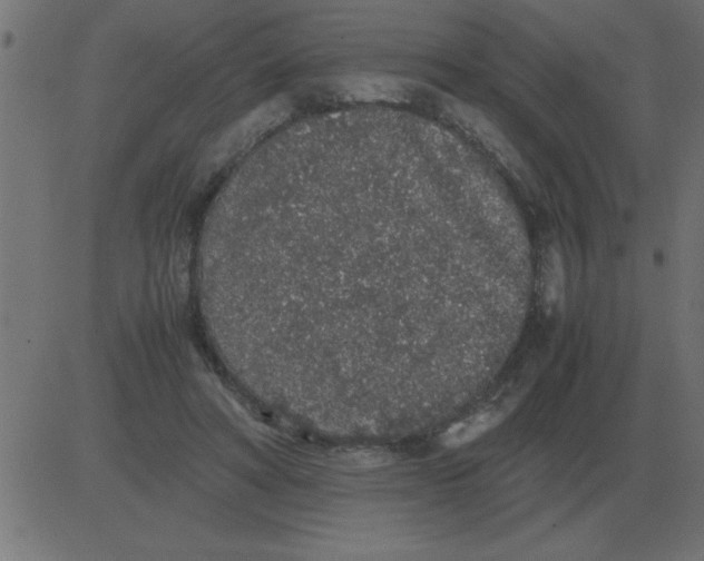 X0000081350402200702020119