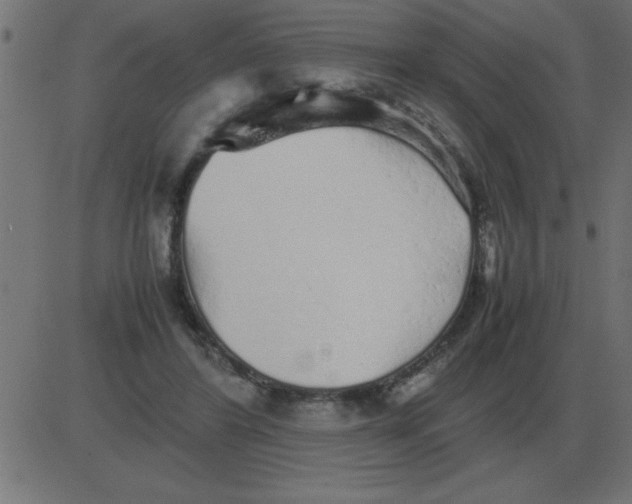 X0000081350404200702020119