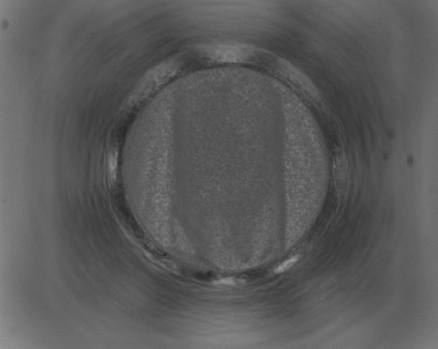 X0000081350406200702020119