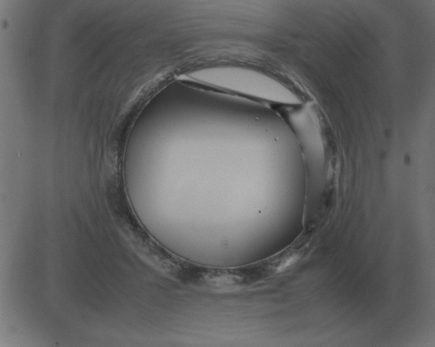 X0000081350407200702020119