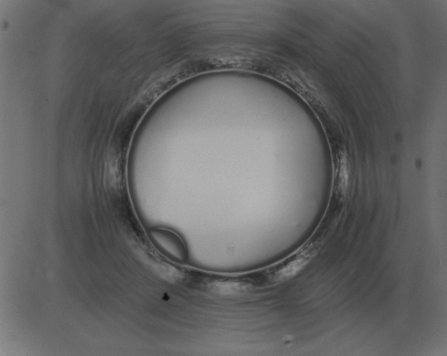 X0000081350408200702020119