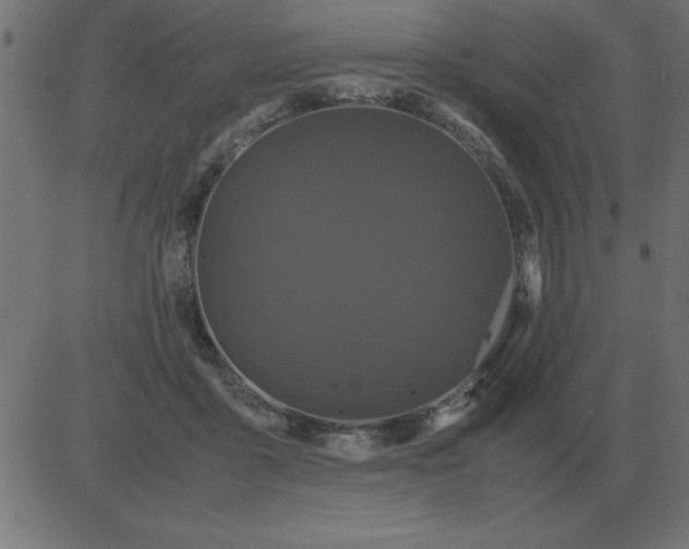 X0000081350411200702020119