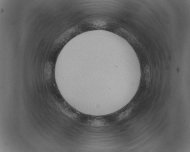 X0000081350412200702020119