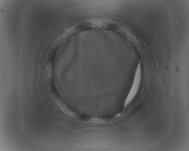 X0000081350413200702020119