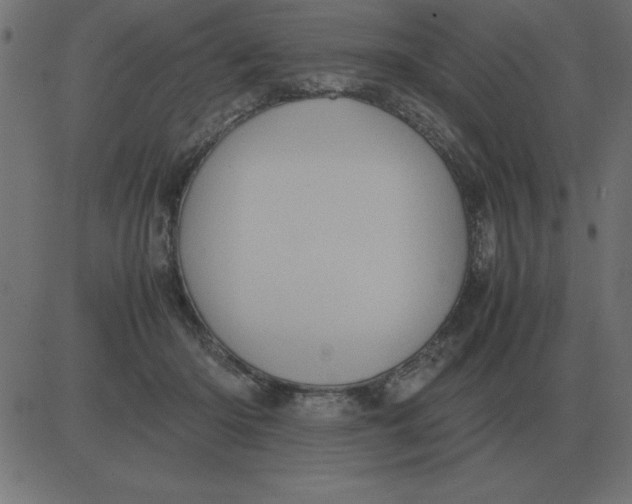 X0000081350414200702020119