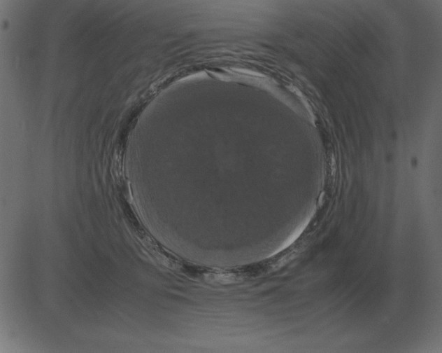 X0000081350419200702020119