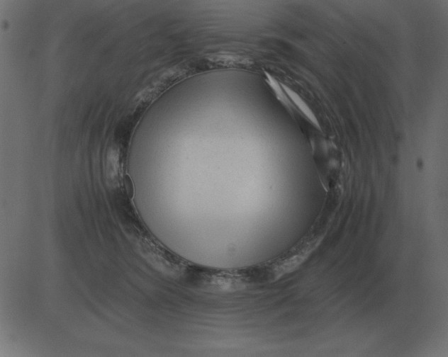 X0000081350420200702020119