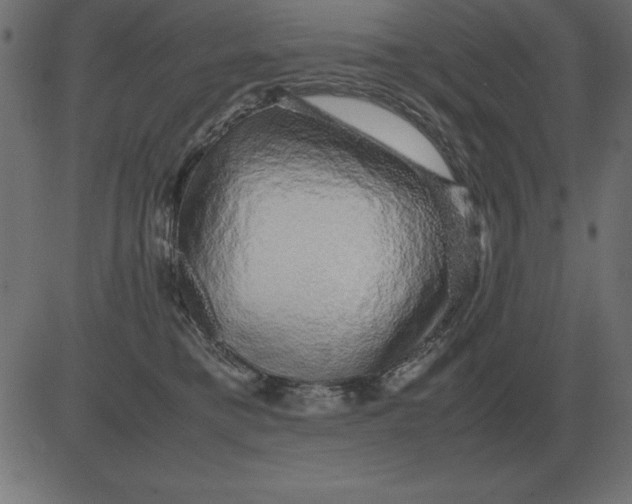 X0000081350421200702020119