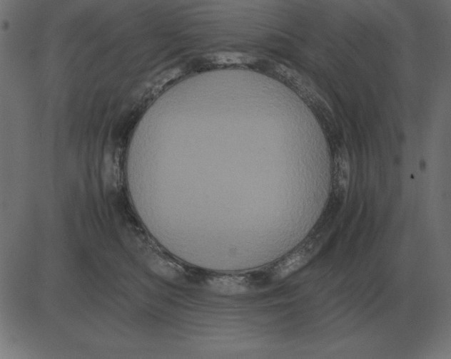 X0000081350422200702020119