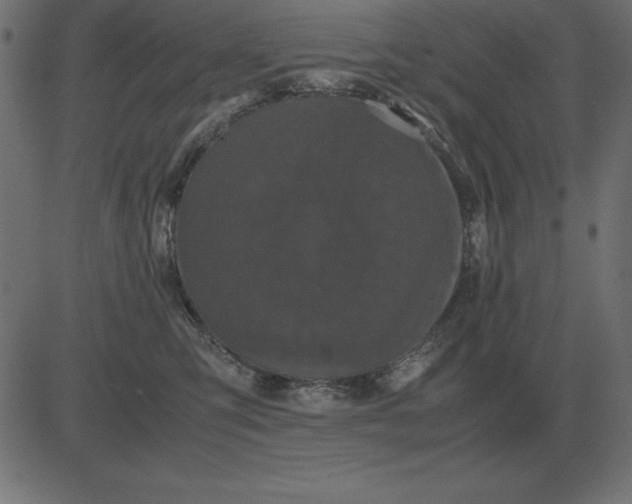 X0000081350423200702020119