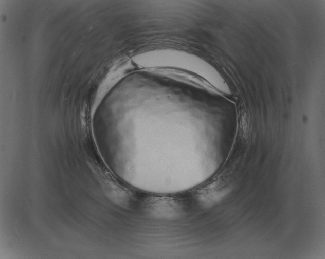 X0000081350424200702020119