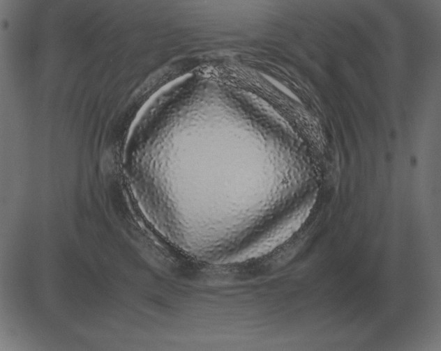 X0000081350425200702020119