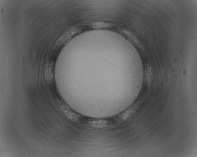 X0000081350426200702020119