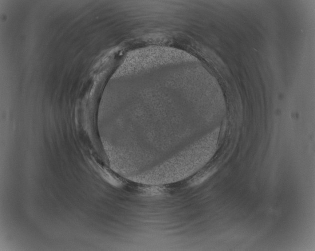 X0000081350432200702020119