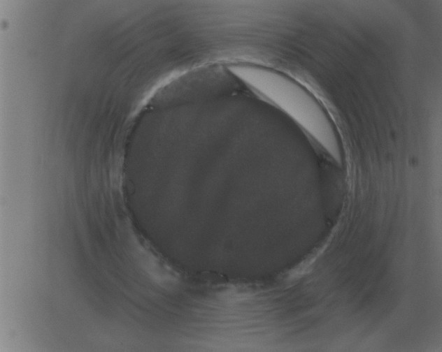 X0000081350434200702020118