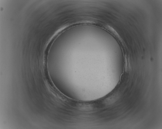 X0000081350435200702020118