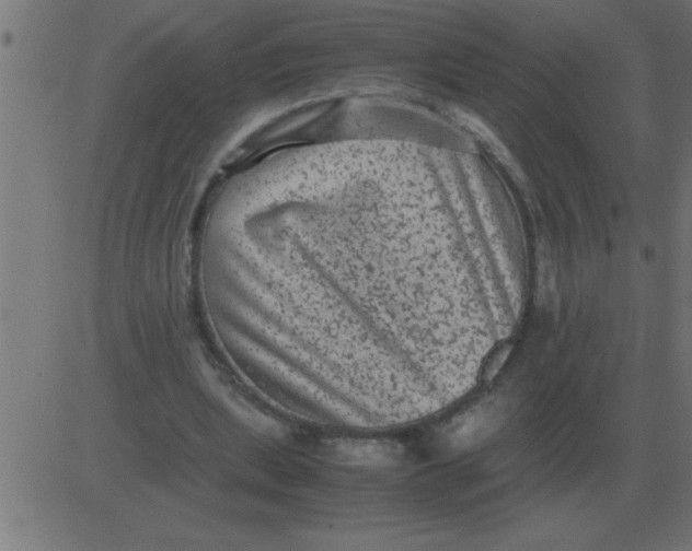 X0000081350439200702020118