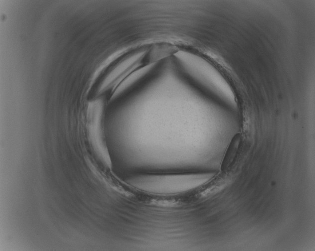 X0000081350440200702020118