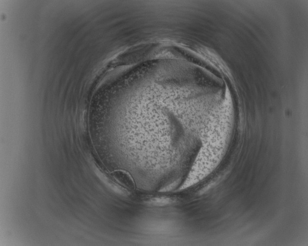 X0000081350441200702020118