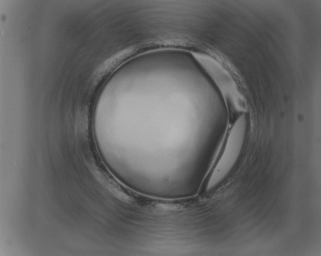 X0000081350442200702020118