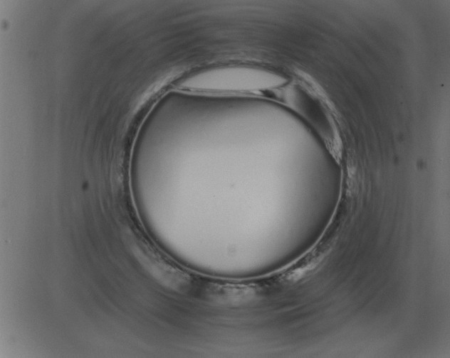 X0000081350443200702020118