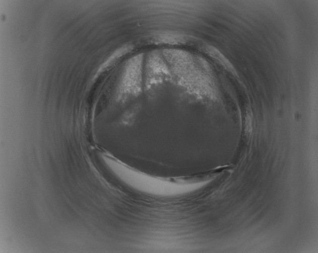 X0000081350444200702020118