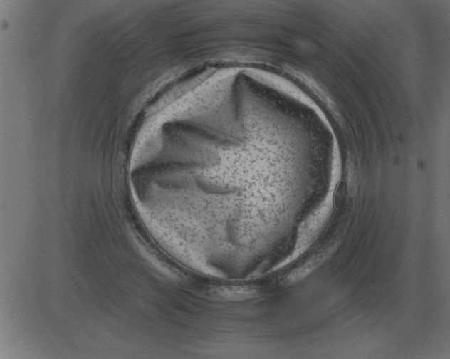 X0000081350445200702020118