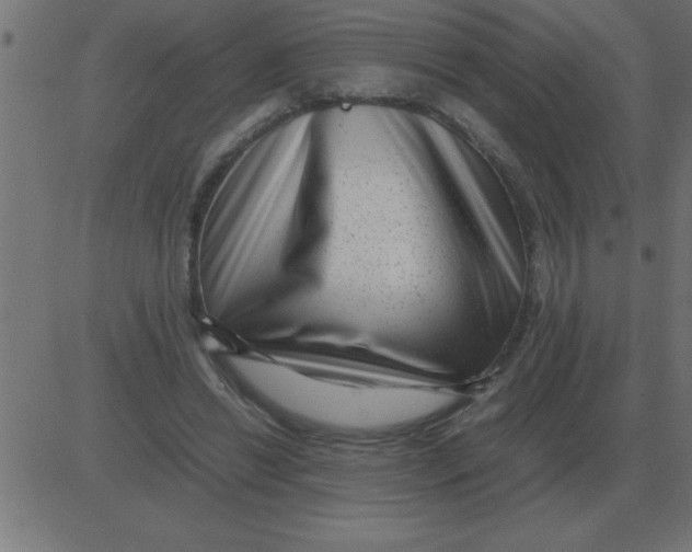 X0000081350446200702020118