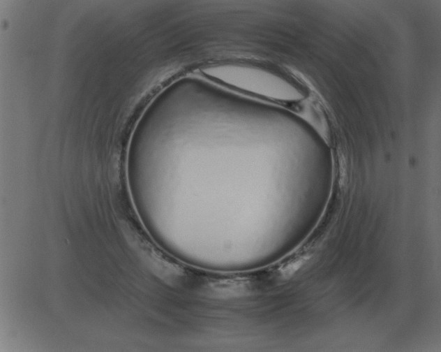 X0000081350447200702020118