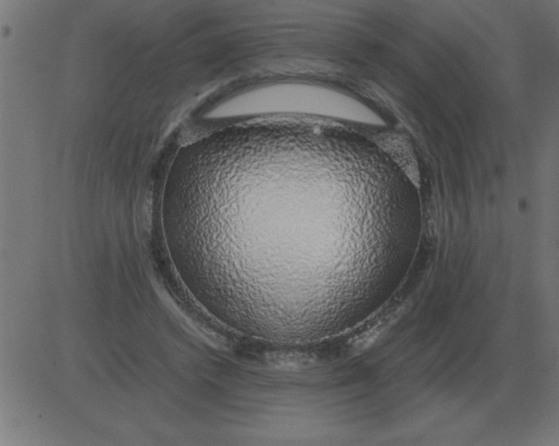 X0000081350448200702020118