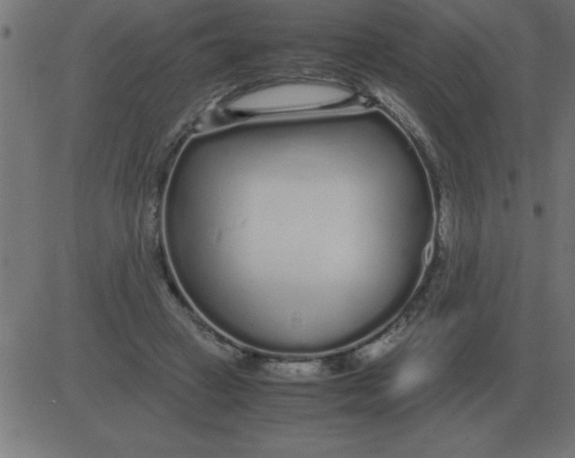 X0000081350449200702020118