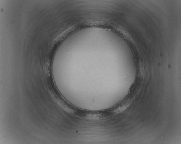 X0000081350450200702020118