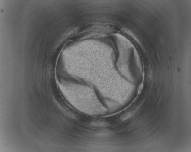 X0000081350451200702020118