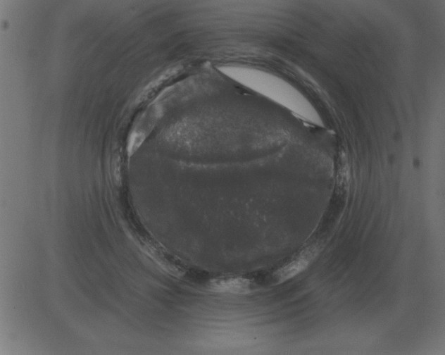 X0000081350452200702020119