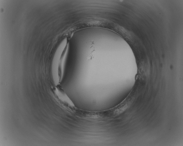 X0000081350454200702020119