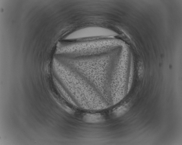 X0000081350455200702020119