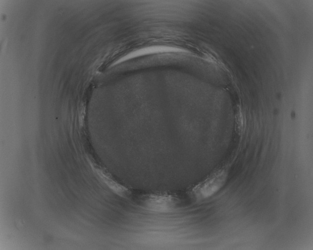 X0000081350458200702020119